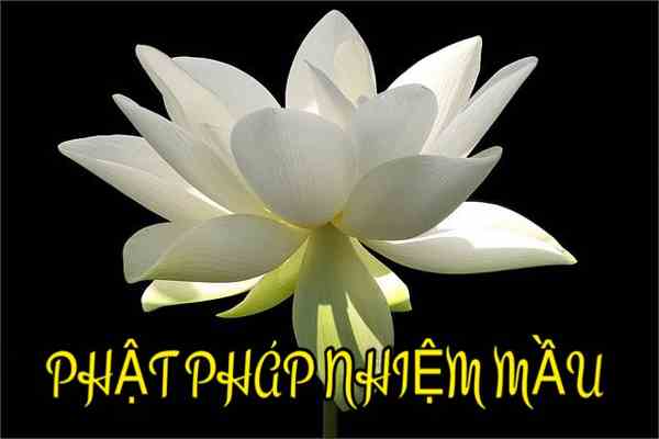 Phật pháp nhiệm màu