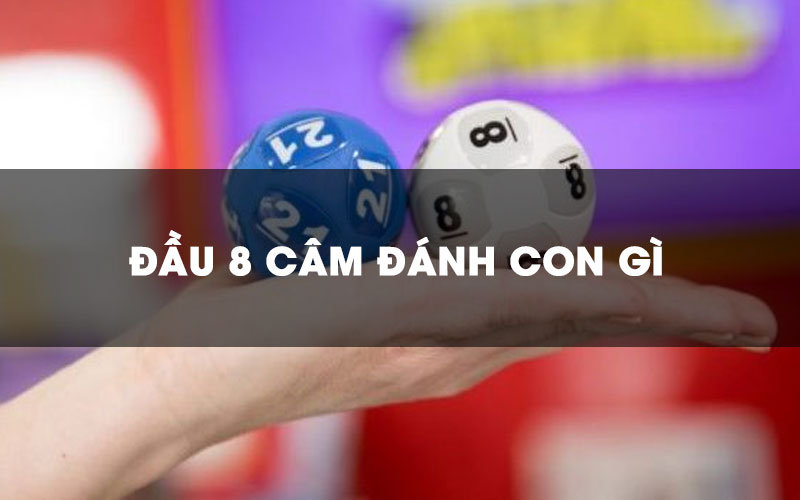 Đầu 8 câm hôm sau đánh con gì