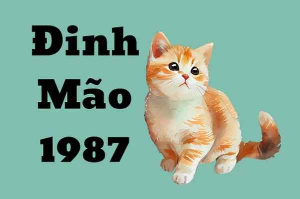  Phân tích con số may mắn tuổi Đinh Mão 26/4/2025