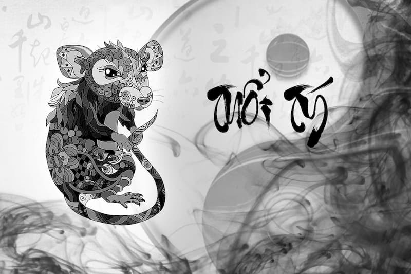 Số may mắn tuổi Tý 28/6/2025 giúp đổi vận cuối tháng