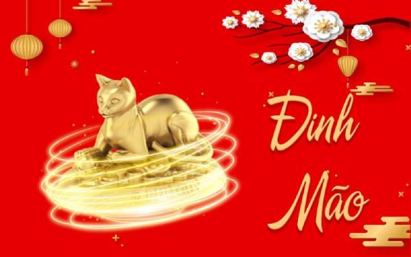 Tổng quan vận trình tử vi tuổi Đinh Mão 17/8/2025