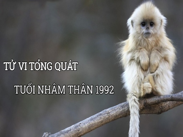 Con số đẹp tuổi Nhâm Thân mang tài lộc đến trọn đời