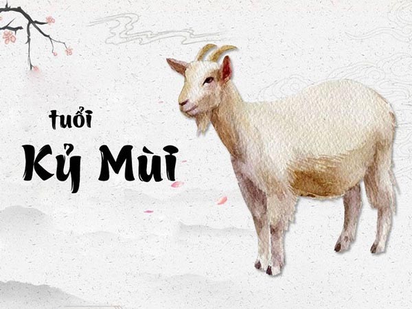Tổng quan về người tuổi Kỷ Mùi ngày 17/9/2025 thứ 4 hôm nay