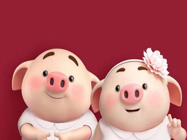 Tổng quan vận trình tuổi Hợi ngày 29/3/2026